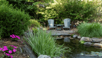 Das Foto zeigt einen Teich im Garten im Frühling.