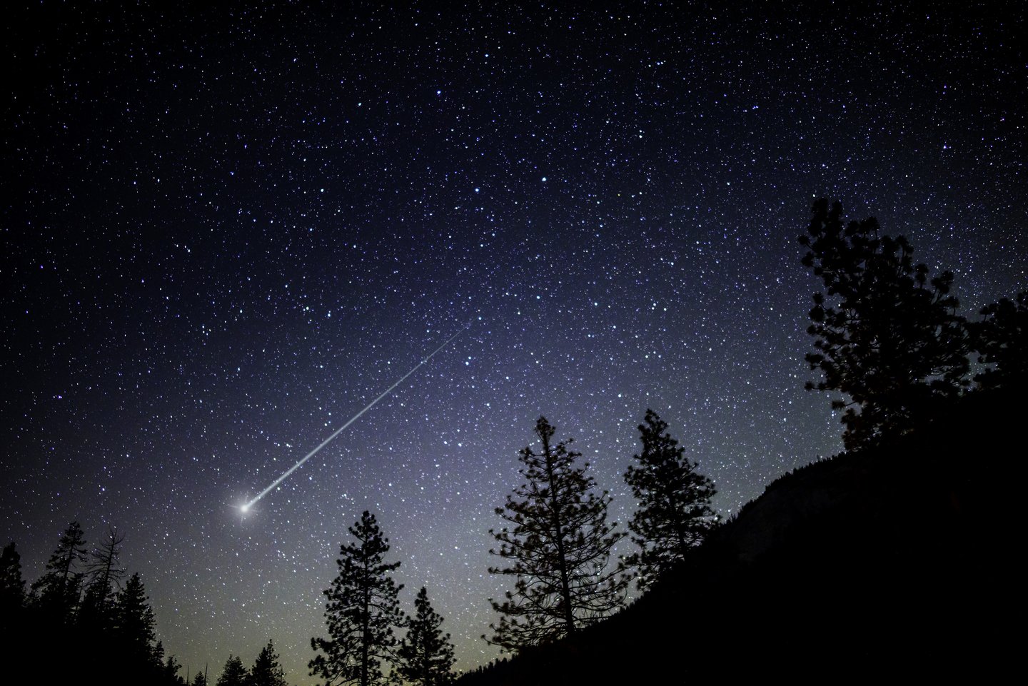 Das Foto zeigt einen hell erleuchteten Sternenhimmel mit Konturen von Bäumen und einer Sternschnuppe. 