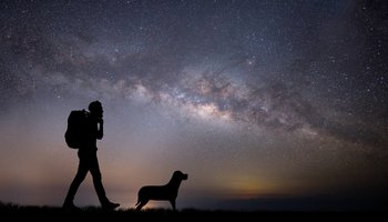 Das Foto zeigt einen Mann und einen Hund bei einem nächtlichen Spaziergang unter dem Sternenhimmel.
