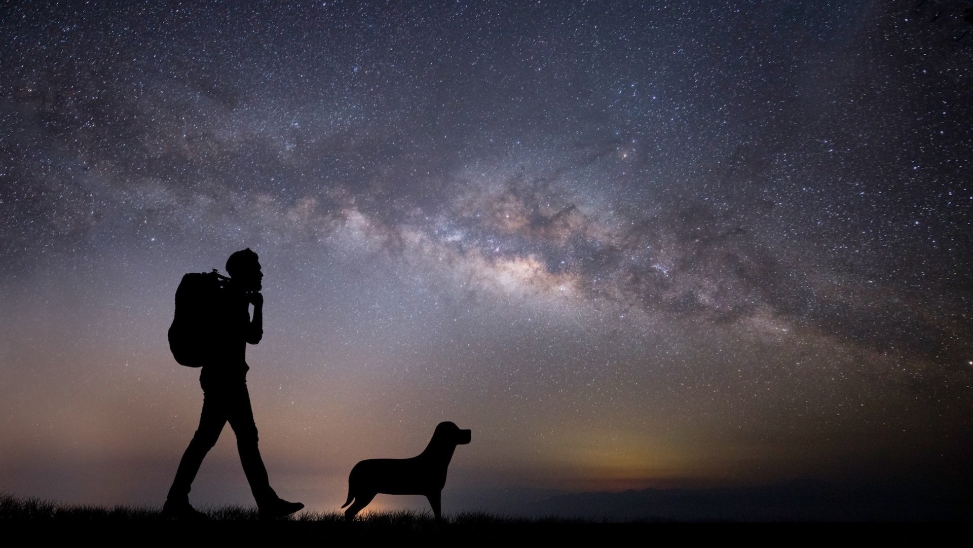 Das Foto zeigt einen Mann und einen Hund bei einem nächtlichen Spaziergang unter dem Sternenhimmel.