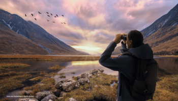 Das Foto zeigt eine Person, die bei Sonnenuntergang in einer Berglandschaft Vögel am Himmel mit einem Fernglas beobachtet.