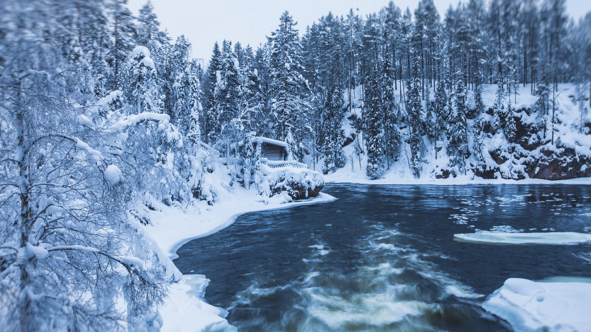 Das Foto zeigt einen winterlichen Blick auf die Landschaft des Oulanka-Nationalparks in Finnland.