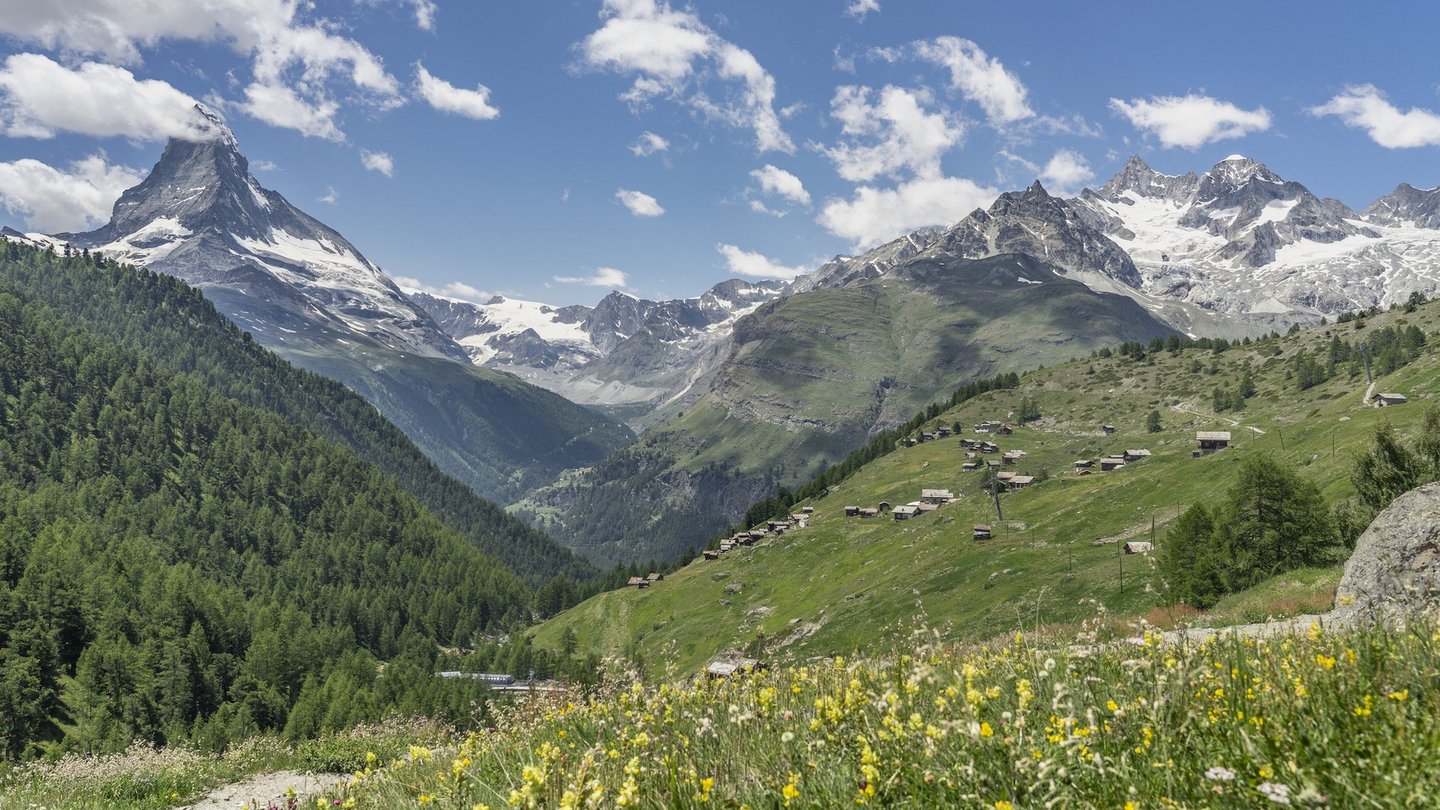 Sommerliche Landschaft in den Alpen mit Matterhorn im Hintergrund