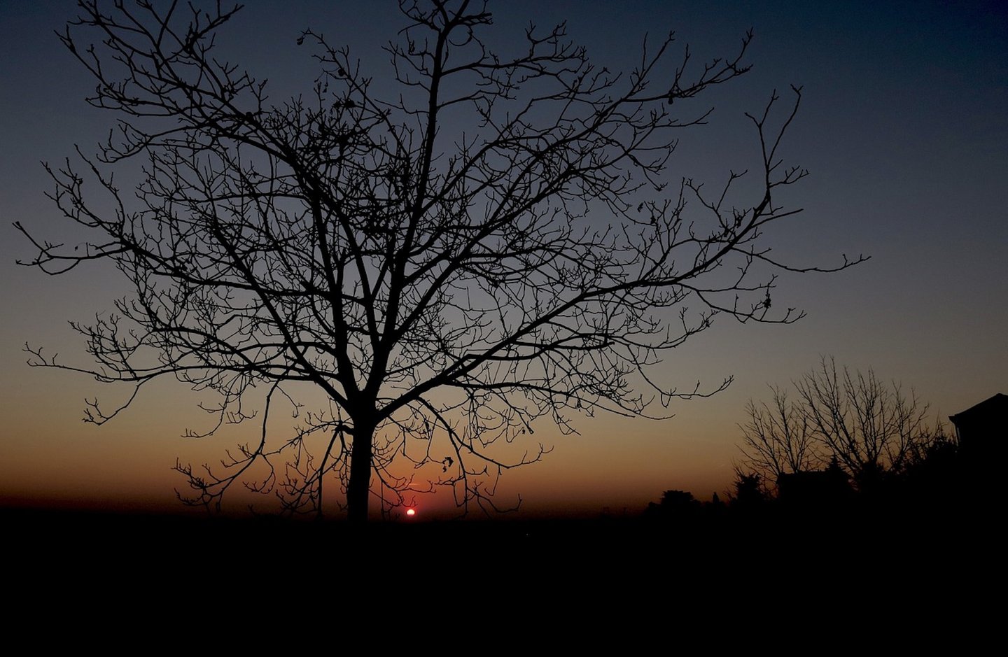 Das Foto zeigt einen Baum vor einem Sonnenuntergang bei Dämmerlicht.