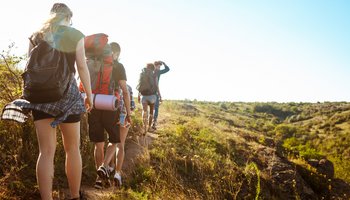 Gruppe von Wanderern auf einem sonnigen Pfad in der Natur.