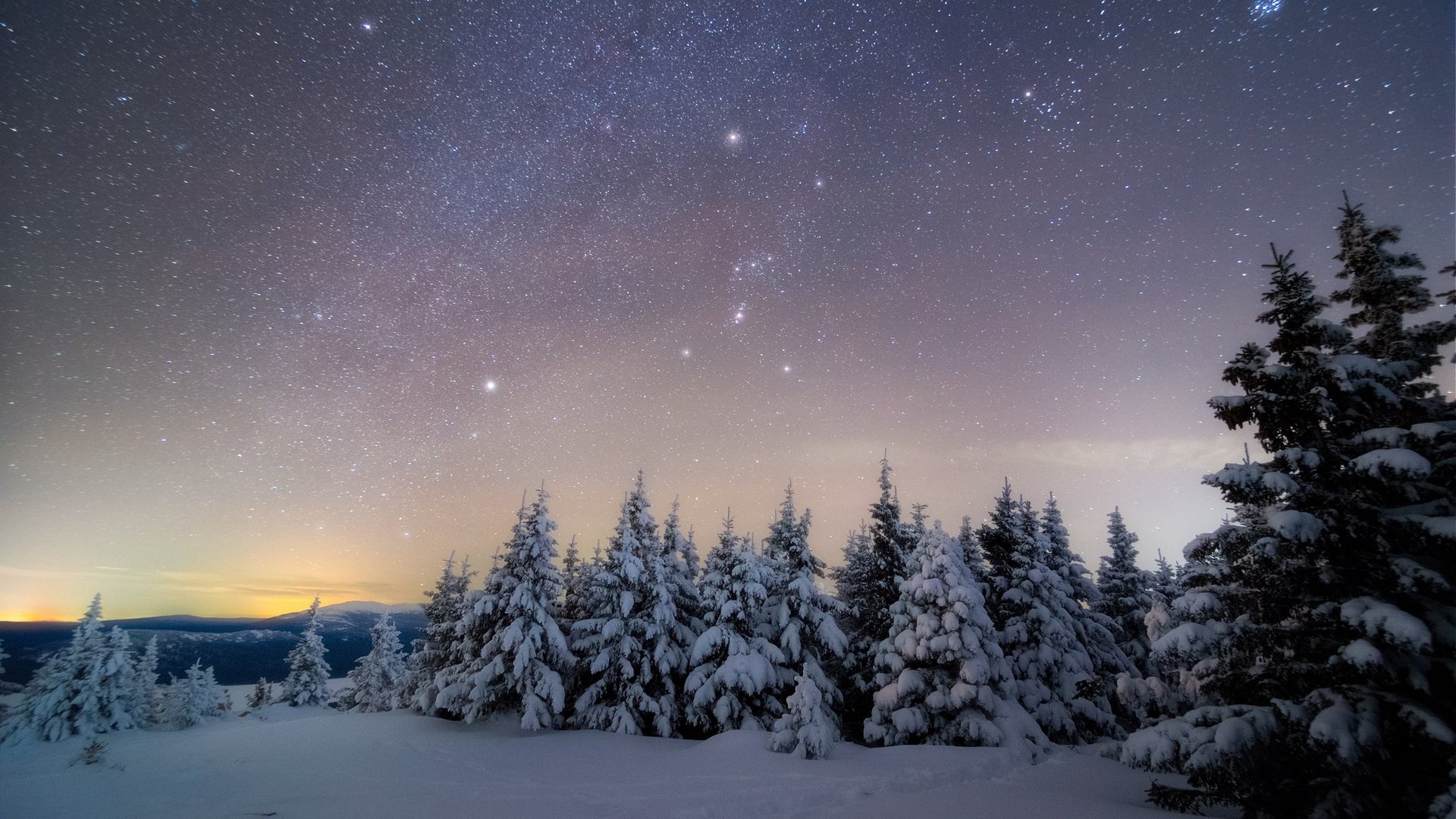 Das Foto zeigt die Milchstraße und eine Vielzahl von Sternen über schneebedeckten Bäumen auf dem Bergplateau.