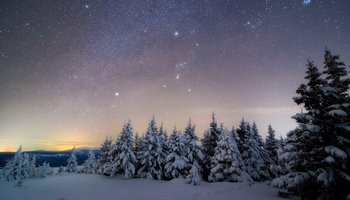 Das Foto zeigt die Milchstraße und eine Vielzahl von Sternen über schneebedeckten Bäumen auf dem Bergplateau.